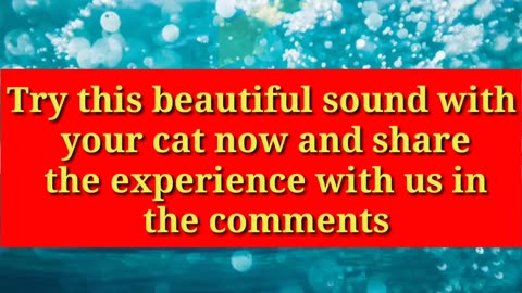 звуки кошек - звуки, которые привлекают кошек - мяу, чтобы кошки подошли