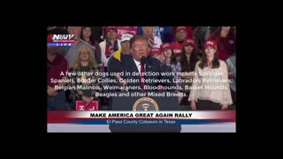 Donald Trump Praises German Shepherd Dogs at MAGA Rally