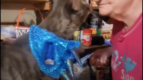 This grandma despises her cat — and loves him very, very much 💜