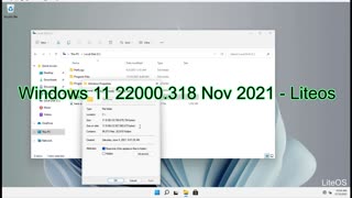 Windows 11 22000.318 NOV 2021 - LiteOS