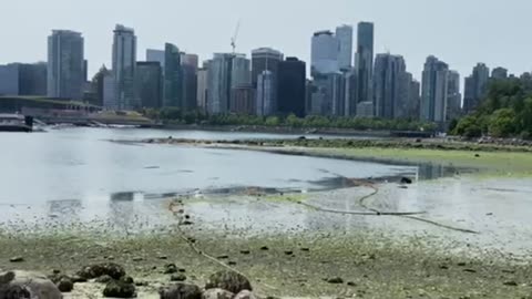 Nature and travel: Drive into Stanley Park, Vancouver BC