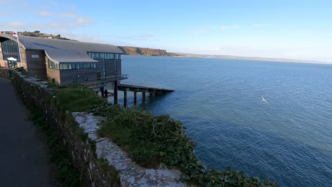 Feeding the seagulls. TENBY Wales. March 2022