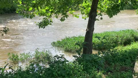 Checking on flooding and Patsy