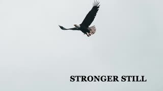 Pray USA, 3/6/23 Stronger Still