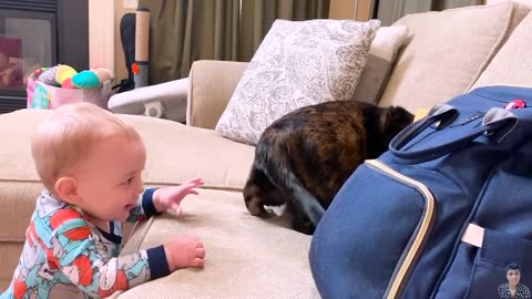 What Happens When Cute Cats Takes Care of Baby