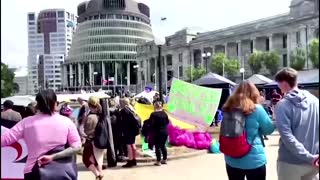 New Zealand protesters refuse to disperse