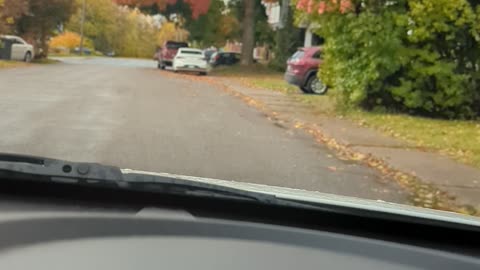 Cool Tree with Fall Colors Has Big Hole for Wires