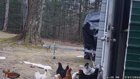 trail cam in front of barn