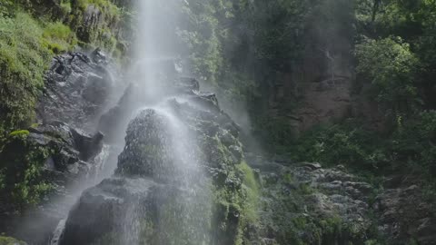 Waterfall in a forest