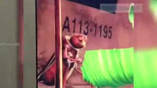 WHAT IS THE SECRET BEHIND DISNEYS A113 SYMBOLISM