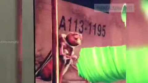 WHAT IS THE SECRET BEHIND DISNEYS A113 SYMBOLISM