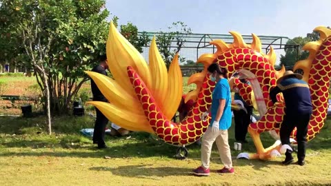 Dragon&Phoenix lantern light shows, #Hoyechi products #Dragon #Phoenix #Lanternlight