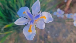 Stop and smell the flowers