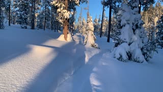 First Bursts of Sun – Central Oregon – Swampy Lakes Sno-Park – 4K