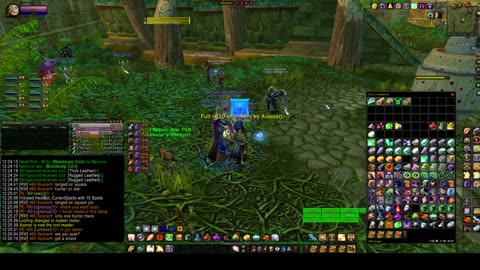 Turtle Wow - PUG idol ZG run - 6 July - paladin POV - a combination of what NOT to do here