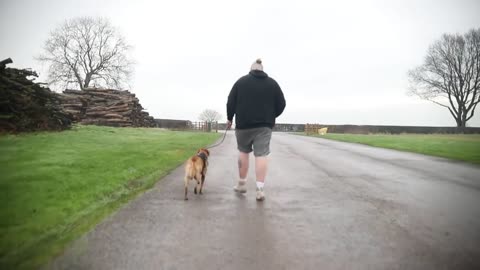 The BEST WAY to Stop your Dog from Pulling on the Leash