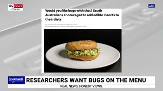 South Australians invited to lunch to ‘get used to the idea of eating insects’