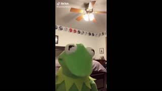 Hey Kermit How You Doing