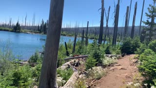 Central Oregon - Mount Jefferson Wilderness - Vibrant Landscape