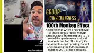 100th Monkey Effect