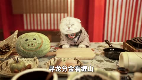 Satisfy Your Tummy With Chef Cat's Unique Handmade Snacks!🍉|Cat Cooking Food | Cute And Funny Cat