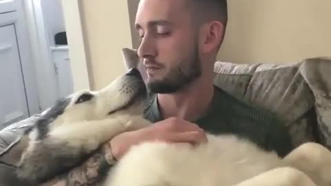 Man's Best Friend