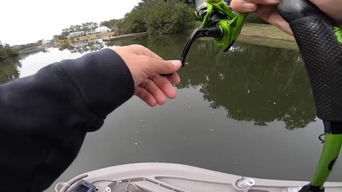 Catching fish
