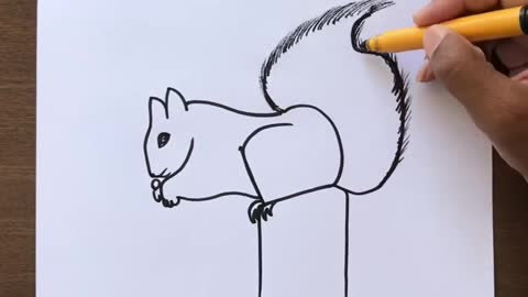 ✍️How to Draw✍️ a Squirrel🐿️🐿️ from number 125 Easy Drawing✍️