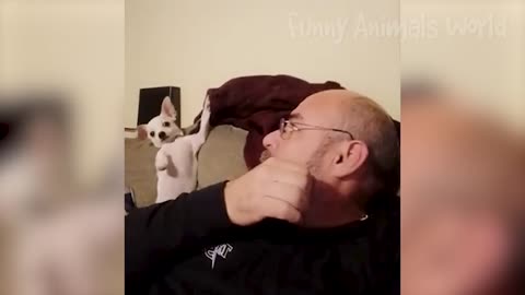 man fighting with Cat and Dog fighting😂😂😂😂😂🤣🤣👀👀👀👀😍😍😁😁💕😊😃