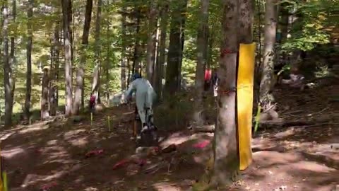 60 Seconds Of Pure Snowshoe Chaos