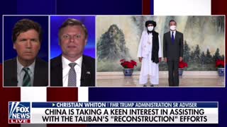 Former Trump senior advisor on why China might be interested in aiding the Taliban.