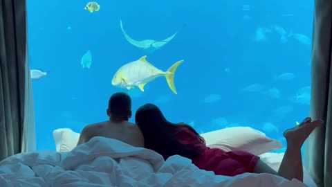 #cute #couple #sleeping Next to #amazing #view |Tag Your Love😍😍💓💓