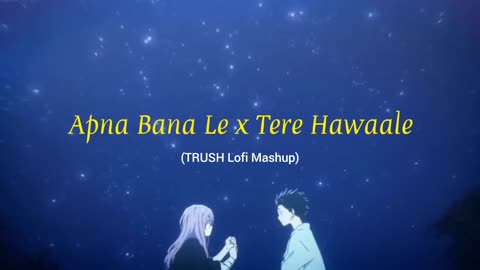 Apna bana Le x Tere Hawaale [Lofi mashup] ♫♫♫