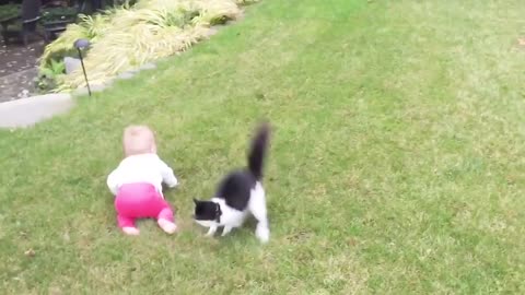 Baby playing with Cats and Dogs