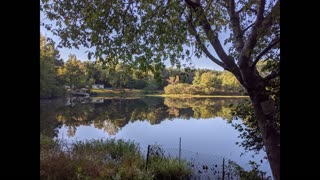 Spring Sounds on Lake Catherine