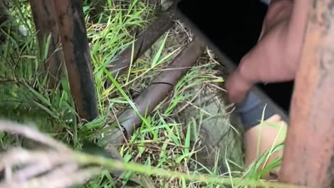 Puppy Rescued From Hole