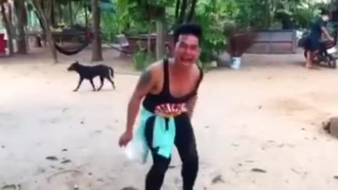 Funny animal prank video