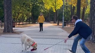 Blind Man's Fallen Shoe, Rescued by Boy and Dog