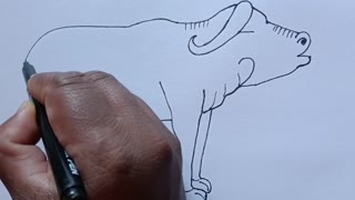 How To Draw Buffalo Drawing With 222