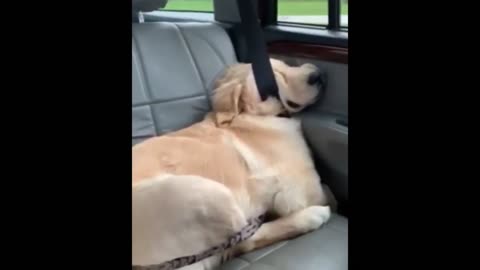 ME AFTER A LONG DRIVE