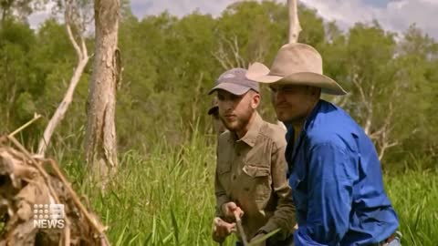 Arrest warrant issued for Outback Wrangler star Matt Wright | 9 News Australia