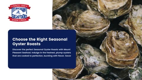 Choose the Right Seasonal Oyster Roasts