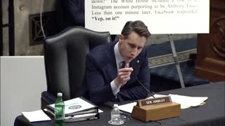 Hawley RIPS Sec Mayorkas For Trying To Get Big Tech To Treat Americans As Domestic Terrorists