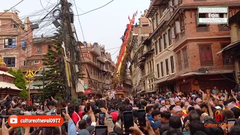 Rato Machindranath Jatra, Patan, Lalitpur, 2081, Day 8, Part I