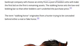 What is a “stalking horse bid”