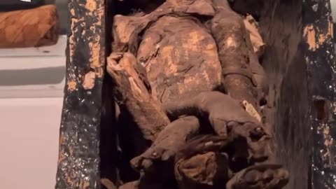 Firaun فرعون Ki Body In Egypt Museum | Firon Pharaoh Mummy