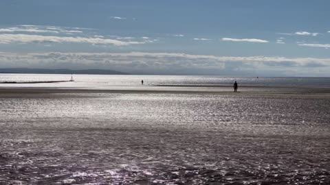 Walking along Crosby beach, Waterloo