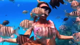 Snorkeling On The Island Of Bora Bora