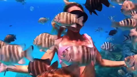 Snorkeling On The Island Of Bora Bora