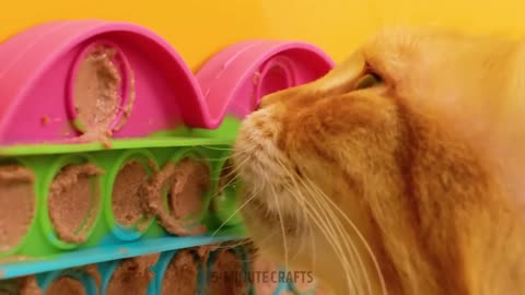 Cool Pet Gadgets And Genius Pet Hacks For Your Lovely Cats And Dogs